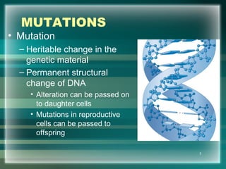 MUTATIONS
• Mutation
– Heritable change in the
genetic material
– Permanent structural
change of DNA
• Alteration can be passed on
to daughter cells
• Mutations in reproductive
cells can be passed to
offspring
3
 