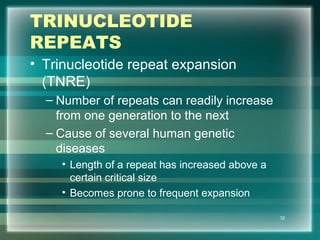 TRINUCLEOTIDE
REPEATS
• Trinucleotide repeat expansion
(TNRE)
– Number of repeats can readily increase
from one generation to the next
– Cause of several human genetic
diseases
• Length of a repeat has increased above a
certain critical size
• Becomes prone to frequent expansion
32
 