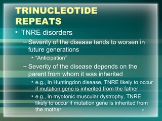 TRINUCLEOTIDE
REPEATS
• TNRE disorders
– Severity of the disease tends to worsen in
future generations
• “Anticipation”
– Severity of the disease depends on the
parent from whom it was inherited
• e.g., In Huntingdon disease, TNRE likely to occur
if mutation gene is inherited from the father
• e.g., In myotonic muscular dystrophy, TNRE
likely to occur if mutation gene is inherited from
the mother 37
 