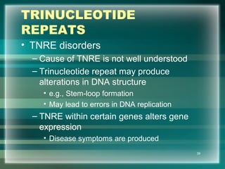 TRINUCLEOTIDE
REPEATS
• TNRE disorders
– Cause of TNRE is not well understood
– Trinucleotide repeat may produce
alterations in DNA structure
• e.g., Stem-loop formation
• May lead to errors in DNA replication
– TNRE within certain genes alters gene
expression
• Disease symptoms are produced
39
 
