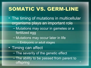 SOMATIC VS. GERM-LINE
• The timing of mutations in multicellular
organisms plays an important role
– Mutations may occur in gametes or a
fertilized egg
– Mutations may occur later in life
• Embryonic or adult stages
• Timing can affect
– The severity of the genetic effect
– The ability to be passed from parent to
offspring 43
 