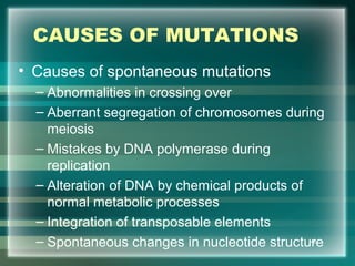 CAUSES OF MUTATIONS
• Causes of spontaneous mutations
– Abnormalities in crossing over
– Aberrant segregation of chromosomes during
meiosis
– Mistakes by DNA polymerase during
replication
– Alteration of DNA by chemical products of
normal metabolic processes
– Integration of transposable elements
– Spontaneous changes in nucleotide structure48
 