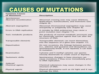 CAUSES OF MUTATIONS
•
50
 