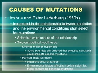 CAUSES OF MUTATIONS
• Joshua and Ester Lederberg (1950s)
– Interested in the relationship between mutation
and the environmental conditions shat select
for mutations
• Scientists were unsure of the relationship
• Two competing hypotheses
– Directed mutation hypothesis
» Some scientists still believed that selective conditions
could promote specific mutations
– Random mutation theory
» Mutations occur at random
» Environmental factors affecting survival select for
those possessing beneficial mutations
52
 