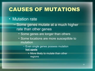 CAUSES OF MUTATIONS
• Mutation rate
– Some genes mutate at a much higher
rate than other genes
• Some genes are longer than others
• Some locations are more susceptible to
mutation
– Even single genes possess mutation
hot spots
» More likely to mutate than other
regions
55
 
