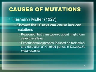 CAUSES OF MUTATIONS
• Hermann Muller (1927)
– Showed that X rays can cause induced
mutations
• Reasoned that a mutagenic agent might form
defective alleles
• Experimental approach focused on formation
and detection of X-linked genes in Drosophila
melanogaster
64
 