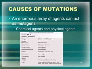 CAUSES OF MUTATIONS
• An enormous array of agents can act
as mutagens
– Chemical agents and physical agents
66
 