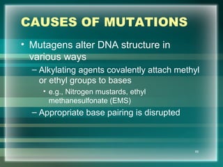 CAUSES OF MUTATIONS
• Mutagens alter DNA structure in
various ways
– Alkylating agents covalently attach methyl
or ethyl groups to bases
• e.g., Nitrogen mustards, ethyl
methanesulfonate (EMS)
– Appropriate base pairing is disrupted
69
 