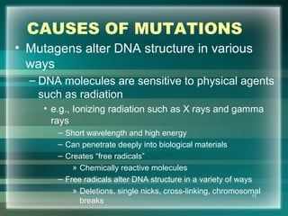 CAUSES OF MUTATIONS
• Mutagens alter DNA structure in various
ways
– DNA molecules are sensitive to physical agents
such as radiation
• e.g., Ionizing radiation such as X rays and gamma
rays
– Short wavelength and high energy
– Can penetrate deeply into biological materials
– Creates “free radicals”
» Chemically reactive molecules
– Free radicals alter DNA structure in a variety of ways
» Deletions, single nicks, cross-linking, chromosomal
breaks
73
 