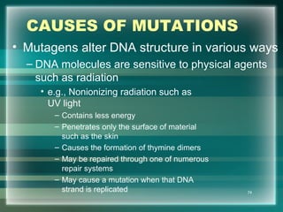 CAUSES OF MUTATIONS
• Mutagens alter DNA structure in various ways
– DNA molecules are sensitive to physical agents
such as radiation
• e.g., Nonionizing radiation such as
UV light
– Contains less energy
– Penetrates only the surface of material
such as the skin
– Causes the formation of thymine dimers
– May be repaired through one of numerous
repair systems
– May cause a mutation when that DNA
strand is replicated 74
 
