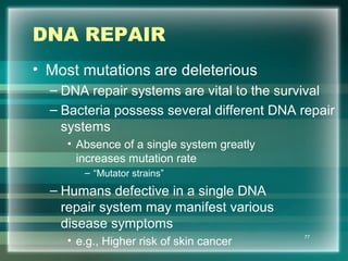 DNA REPAIR
• Most mutations are deleterious
– DNA repair systems are vital to the survival
– Bacteria possess several different DNA repair
systems
• Absence of a single system greatly
increases mutation rate
– “Mutator strains”
– Humans defective in a single DNA
repair system may manifest various
disease symptoms
• e.g., Higher risk of skin cancer
77
 