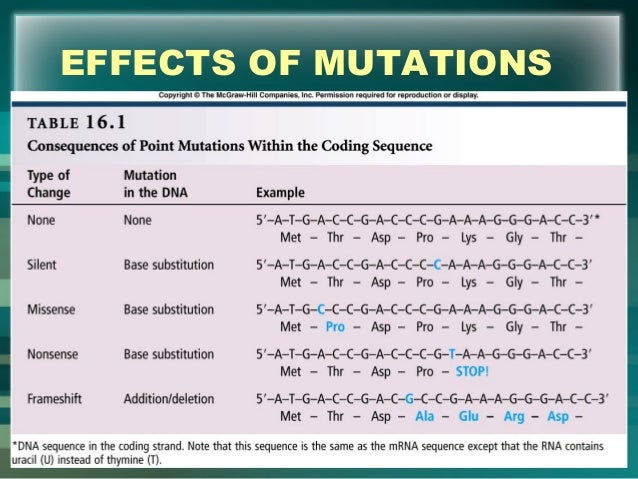What Coding Is Affected By Natural Selection What Coding Is Affected By Natural Selection