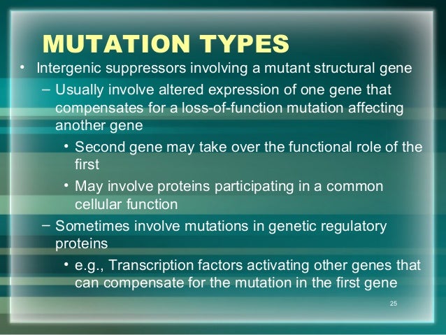 Gene Mutation