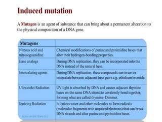 Mutation | PPTX