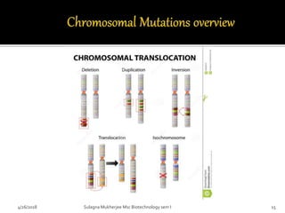 Mutation | PPTX