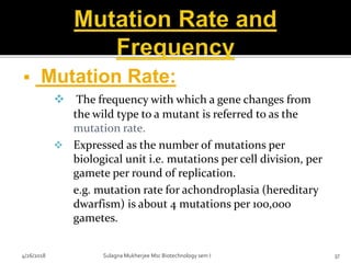 Mutation | PPTX