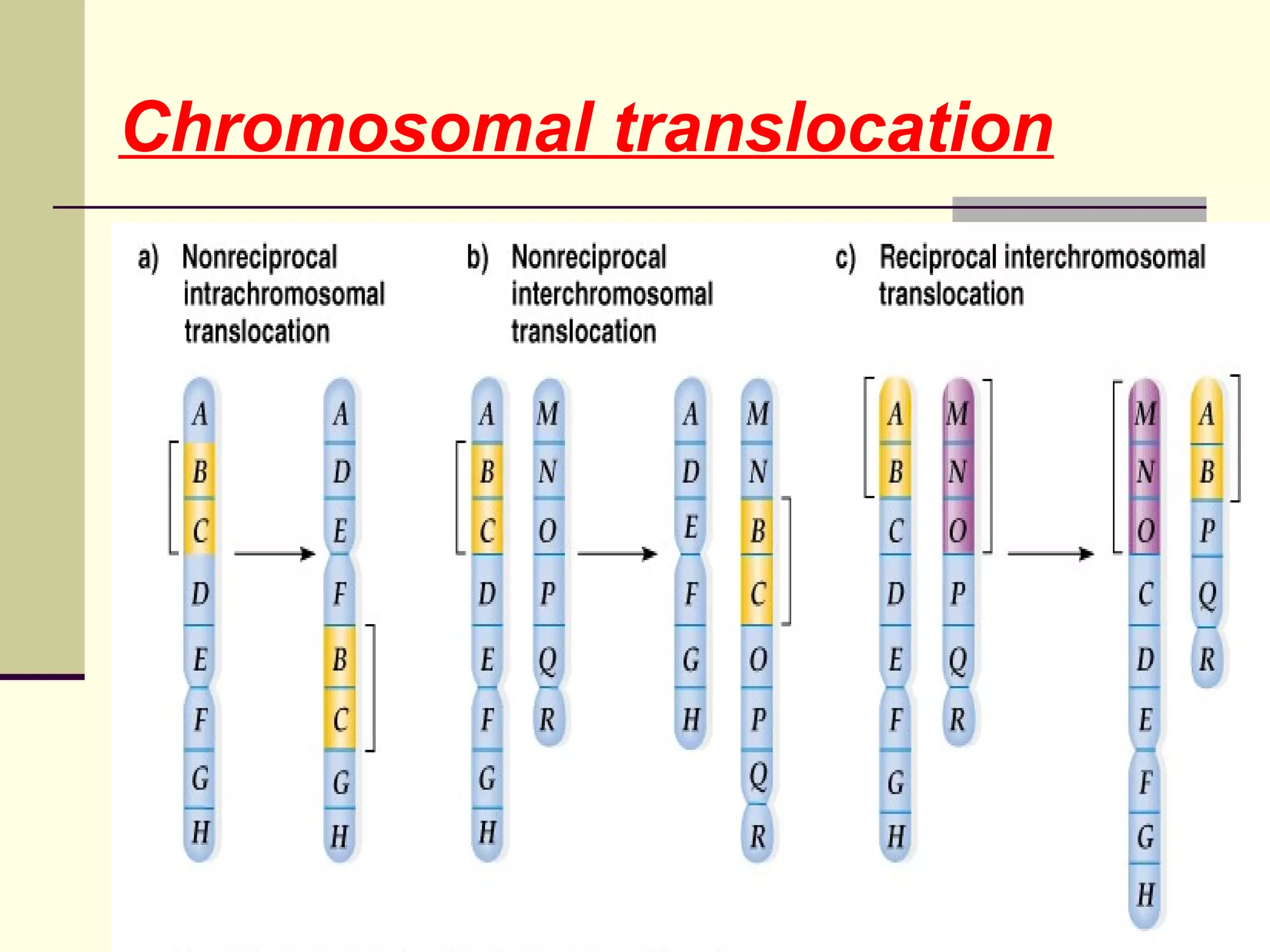Chromosomal translocation
 