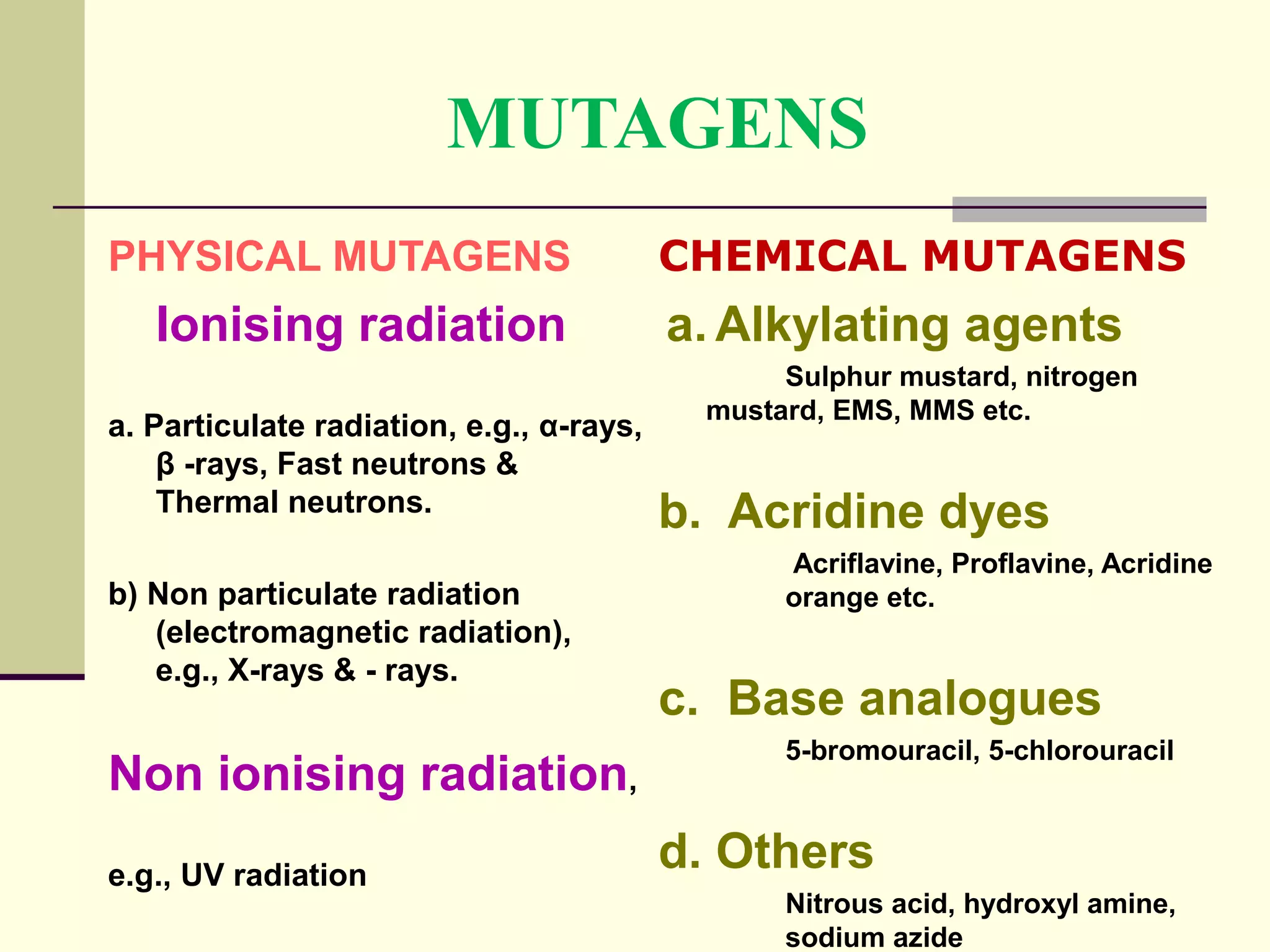 MUTAGENS
PHYSICAL MUTAGENS
Ionising radiation
a. Particulate radiation, e.g., α-rays,
β -rays, Fast neutrons &
Thermal neutrons.
b) Non particulate radiation
(electromagnetic radiation),
e.g., X-rays & - rays.
Non ionising radiation,
e.g., UV radiation
CHEMICAL MUTAGENS
a. Alkylating agents
Sulphur mustard, nitrogen
mustard, EMS, MMS etc.
b. Acridine dyes
Acriflavine, Proflavine, Acridine
orange etc.
c. Base analogues
5-bromouracil, 5-chlorouracil
d. Others
Nitrous acid, hydroxyl amine,
sodium azide
 