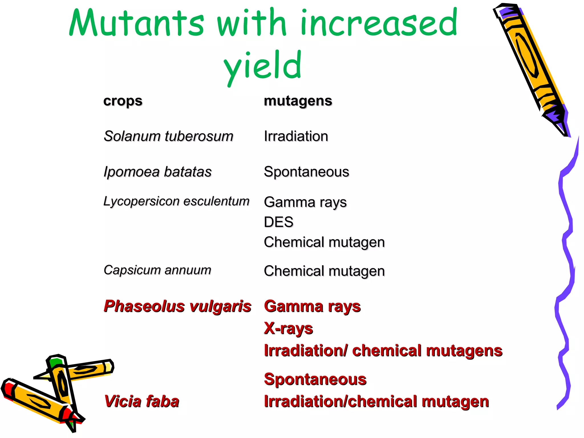 Mutants with increased
yield
cropscrops mutagensmutagens
Solanum tuberosumSolanum tuberosum IrradiationIrradiation
Ipomoea batatasIpomoea batatas SpontaneousSpontaneous
Lycopersicon esculentumLycopersicon esculentum Gamma raysGamma rays
DESDES
Chemical mutagenChemical mutagen
Capsicum annuumCapsicum annuum Chemical mutagenChemical mutagen
Phaseolus vulgarisPhaseolus vulgaris Gamma raysGamma rays
X-raysX-rays
Irradiation/ chemical mutagensIrradiation/ chemical mutagens
Vicia fabaVicia faba
SpontaneousSpontaneous
Irradiation/chemical mutagenIrradiation/chemical mutagen
 