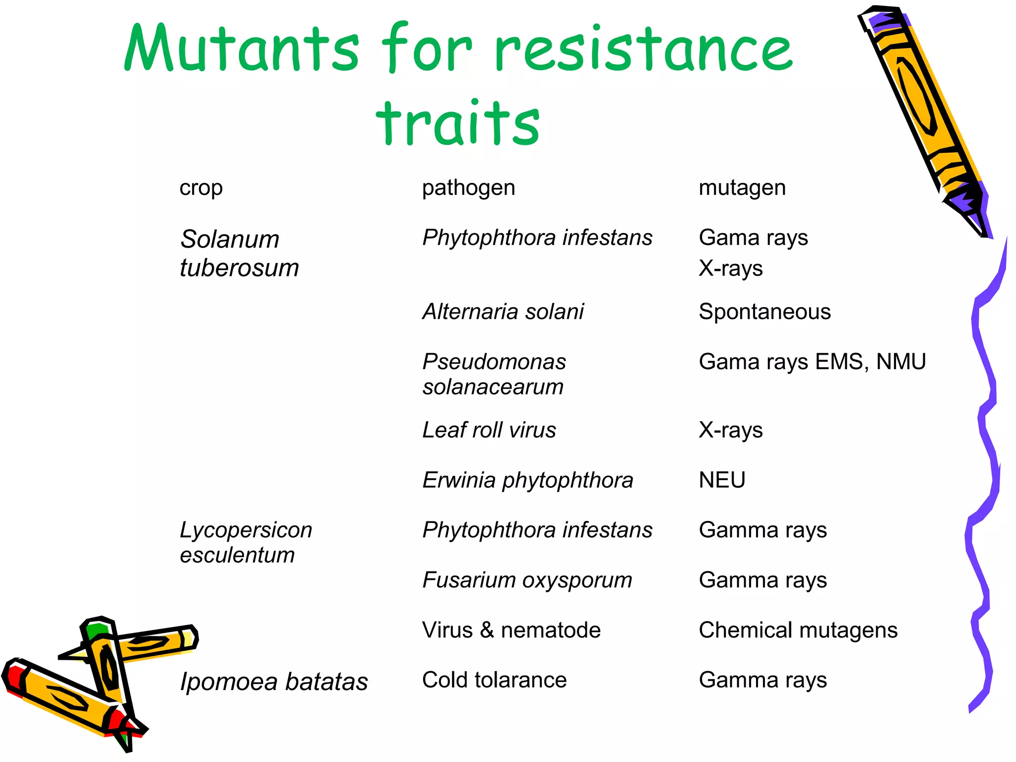 Mutants for resistance
traits
crop pathogen mutagen
Solanum
tuberosum
Phytophthora infestans Gama rays
X-rays
Alternaria solani Spontaneous
Pseudomonas
solanacearum
Gama rays EMS, NMU
Leaf roll virus X-rays
Erwinia phytophthora NEU
Lycopersicon
esculentum
Phytophthora infestans Gamma rays
Fusarium oxysporum Gamma rays
Virus & nematode Chemical mutagens
Ipomoea batatas Cold tolarance Gamma rays
 