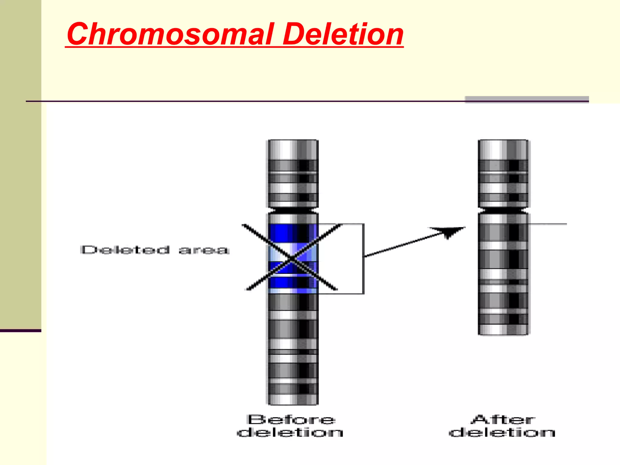 Chromosomal Deletion
 