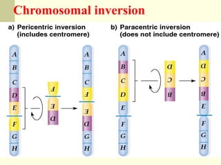 MUTATION BREEDING IN VEGETABLE CROPS | PPT