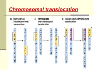 MUTATION BREEDING IN VEGETABLE CROPS | PPT