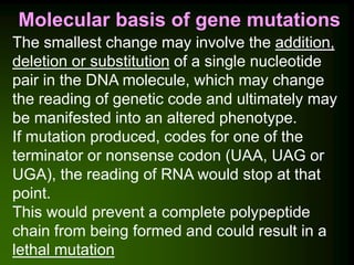 mutation-20.2.2019.ppsx