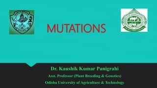 MUTATIONS
Dr. Kaushik Kumar Panigrahi
Asst. Professor (Plant Breeding & Genetics)
Odisha University of Agriculture & Technology
 