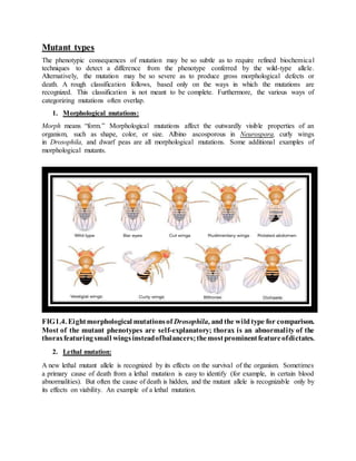 GENE MUTATION | DOCX