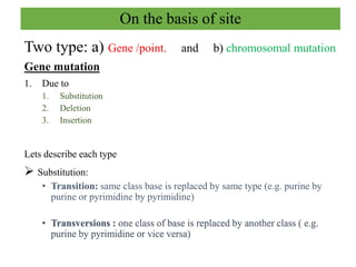 Mutations Class 12 Mutation | PPTX