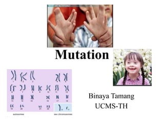 Mutation
Binaya Tamang
UCMS-TH
 