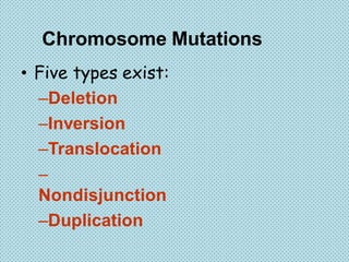 Immutation Mutation | PDF