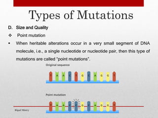Small Mutations Mutation | PPTX