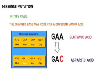Mutation and its types | PPTX