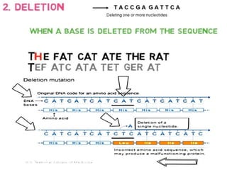 Mutation and its types