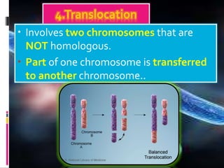 4.Translocation
• Involves two chromosomes that are
NOT homologous.
• Part of one chromosome is transferred
to another chromosome..
 