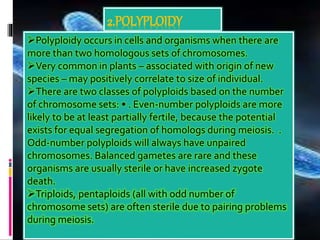 2.POLYPLOIDY
Polyploidy occurs in cells and organisms when there are
more than two homologous sets of chromosomes.
Very common in plants – associated with origin of new
species – may positively correlate to size of individual.
There are two classes of polyploids based on the number
of chromosome sets: • . Even-number polyploids are more
likely to be at least partially fertile, because the potential
exists for equal segregation of homologs during meiosis. .
Odd-number polyploids will always have unpaired
chromosomes. Balanced gametes are rare and these
organisms are usually sterile or have increased zygote
death.
Triploids, pentaploids (all with odd number of
chromosome sets) are often sterile due to pairing problems
during meiosis.
 