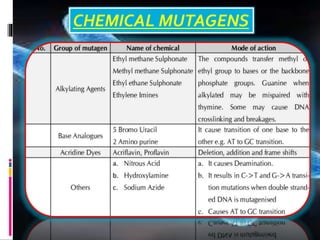 CHEMICAL MUTAGENS
 