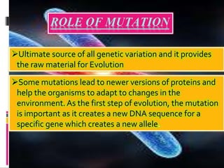 ROLE OF MUTATION
Ultimate source of all genetic variation and it provides
the raw material for Evolution
Some mutations lead to newer versions of proteins and
help the organisms to adapt to changes in the
environment. As the first step of evolution, the mutation
is important as it creates a new DNA sequence for a
specific gene which creates a new allele.
 