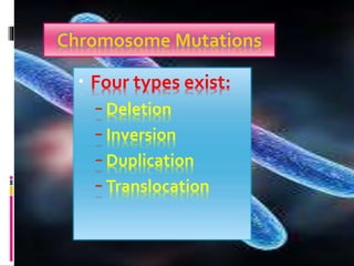 Chromosome Mutations
• Four types exist:
– Deletion
– Inversion
– Duplication
– Translocation
 