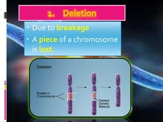 1. Deletion
• Due to breakage
• A piece of a chromosome
is lost.
 