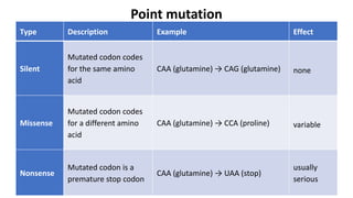 Stop Code Uaa MUTATION.pdf