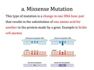 a. Missense Mutation
This type of mutation is a change in one DNA base pair
that results in the substitution of one amino acid for
another in the protein made by a gene. Example is Sickle
cell anemia
 