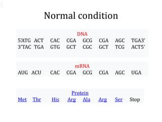 Normal condition
DNA
5’ATG ACT CAC CGA GCG CGA AGC TGA3’
3’TAC TGA GTG GCT CGC GCT TCG ACT5’
mRNA
AUG ACU CAC CGA GCG CGA AGC UGA
Protein
Met Thr His Arg Ala Arg Ser Stop
 