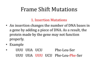 Frame Shift Mutations
1. Insertion Mutations
• An insertion changes the number of DNA bases in
a gene by adding a piece of DNA. As a result, the
protein made by the gene may not function
properly.
• Example
• UUU UUA UCU Phe-Leu-Ser
UUU UUA UUU UCU Phe-Leu-Phe-Ser
 