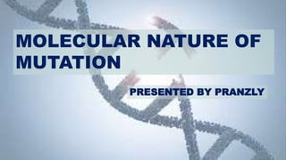 MOLECULAR NATURE OF
MUTATION
PRESENTED BY PRANZLY
 