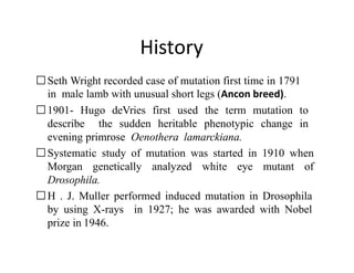 Mutation.pptx