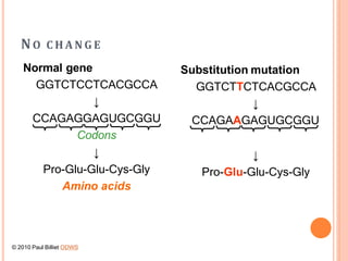NO C H A N G E
Normal gene
GGTCTCCTCACGCCA
↓
CCAGAGGAGUGCGGU
Codons
↓
Pro-Glu-Glu-Cys-Gly
Amino acids
Substitution mutation
GGTCTTCTCACGCCA
↓
CCAGAAGAGUGCGGU
↓
Pro-Glu-Glu-Cys-Gly
© 2010 Paul Billiet ODWS
 