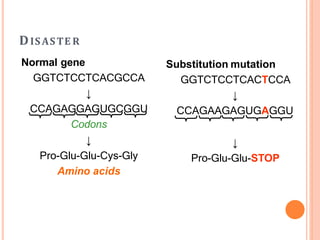 DISASTE R
Normal gene
GGTCTCCTCACGCCA
↓
CCAGAGGAGUGCGGU
Codons
↓
Pro-Glu-Glu-Cys-Gly
Amino acids
Substitution mutation
GGTCTCCTCACTCCA
↓
CCAGAAGAGUGAGGU
↓
Pro-Glu-Glu-STOP
 
